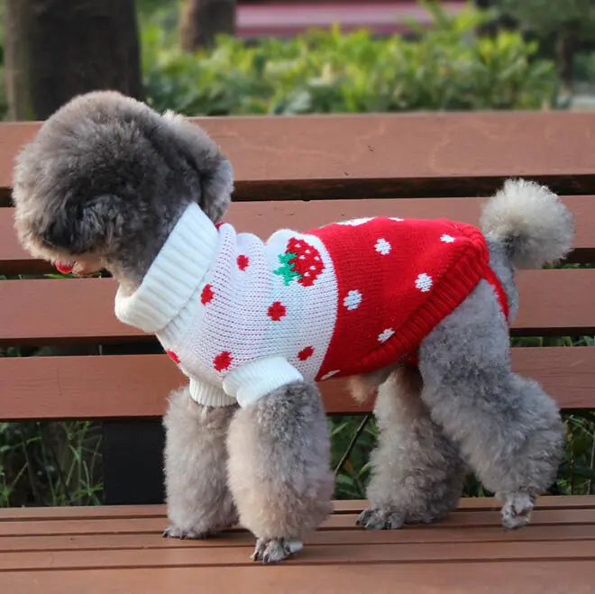 Château Companions™ – Signature Knit Dog Sweater